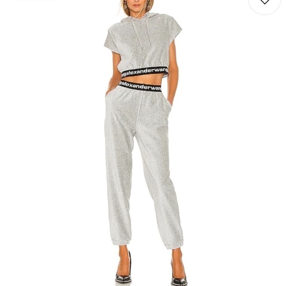 Alexander Wang Logo Corduroy Jogger Pants - Picture 3 of 9